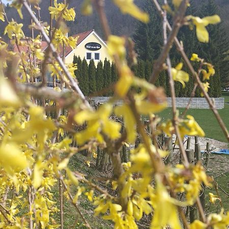 Penzion Kormoran Vranov nad Dyjí Dış mekan fotoğraf
